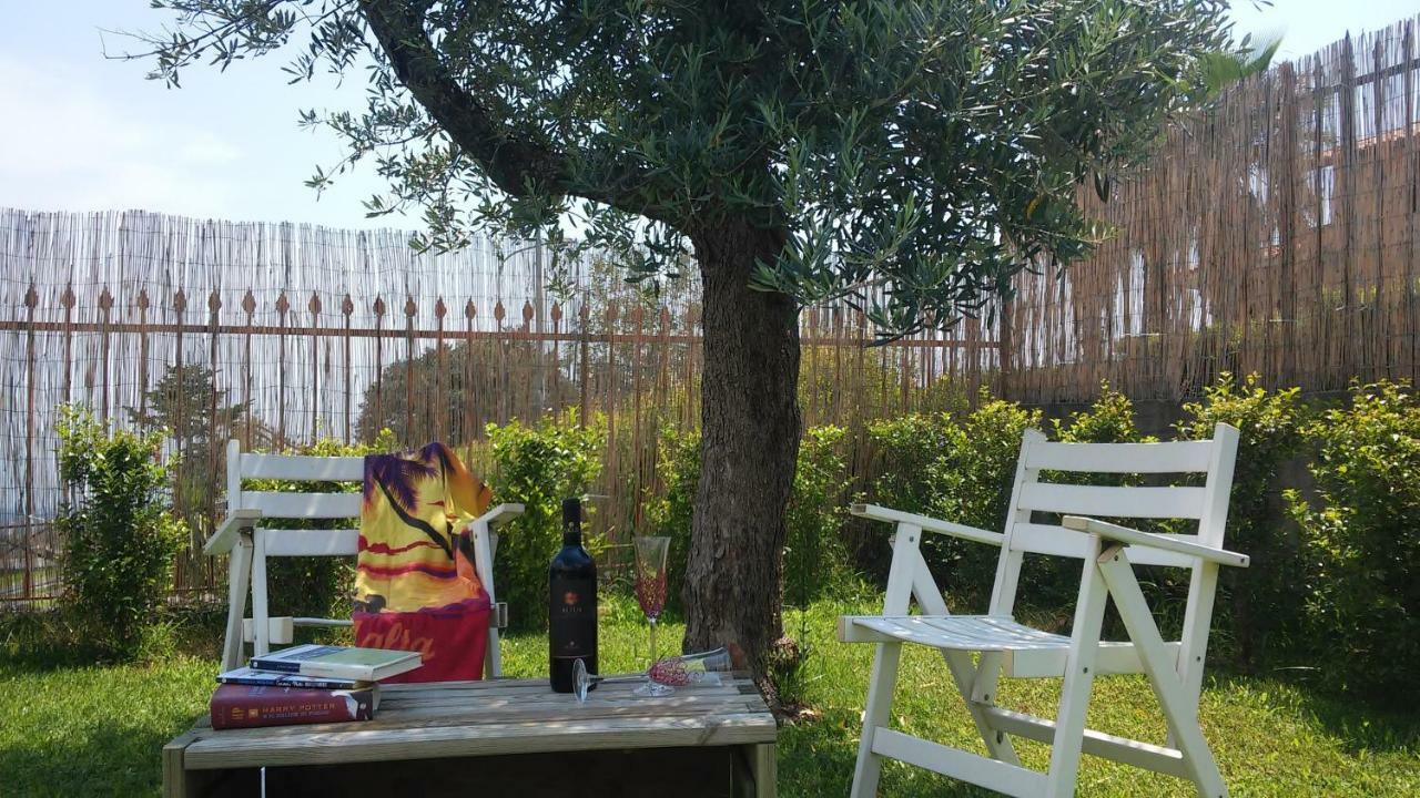 Etna Winery Apartment Zafferana Etnea Exterior photo